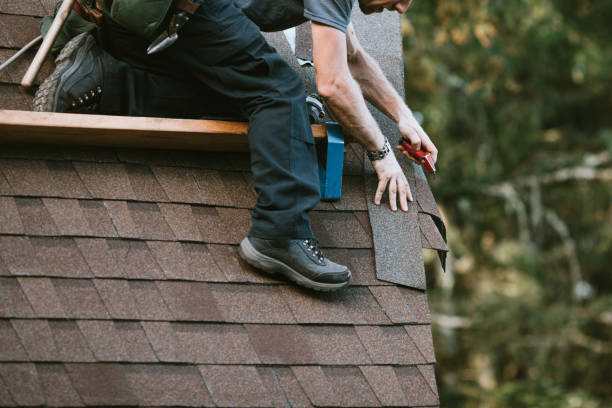 Best Roofing Contractors for Homes  in USA